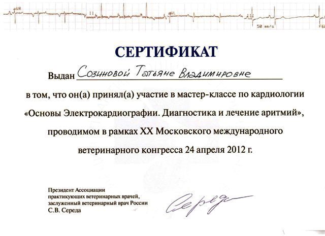 Документ или сертификат