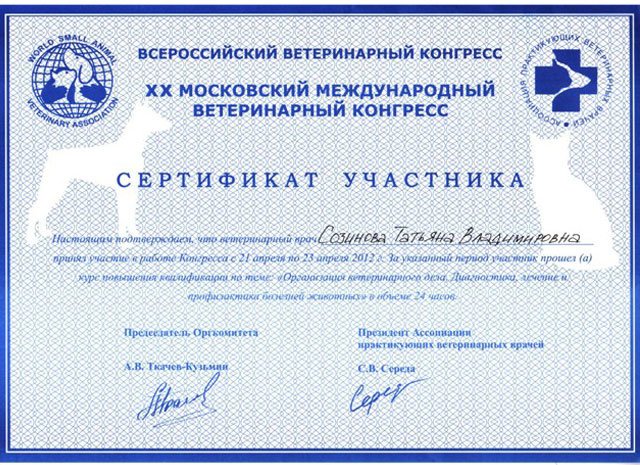 Документ или сертификат