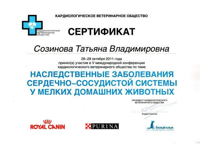 Документ или сертификат