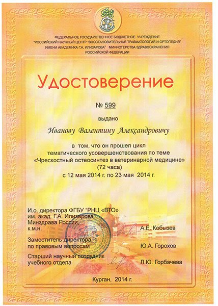 Документ или сертификат