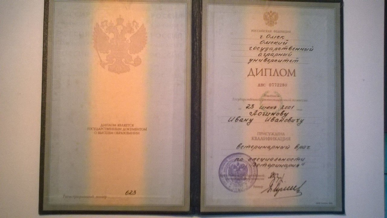 Документ или сертификат