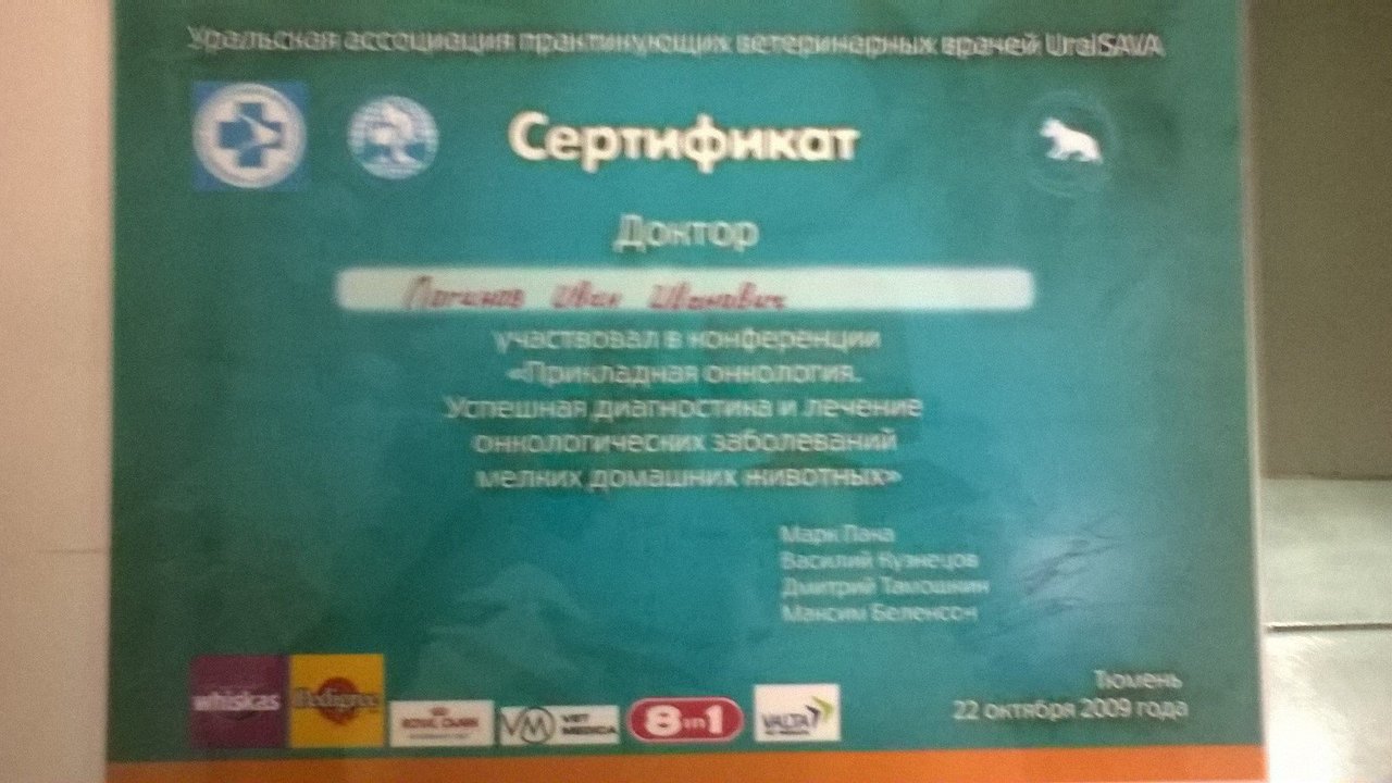 Документ или сертификат