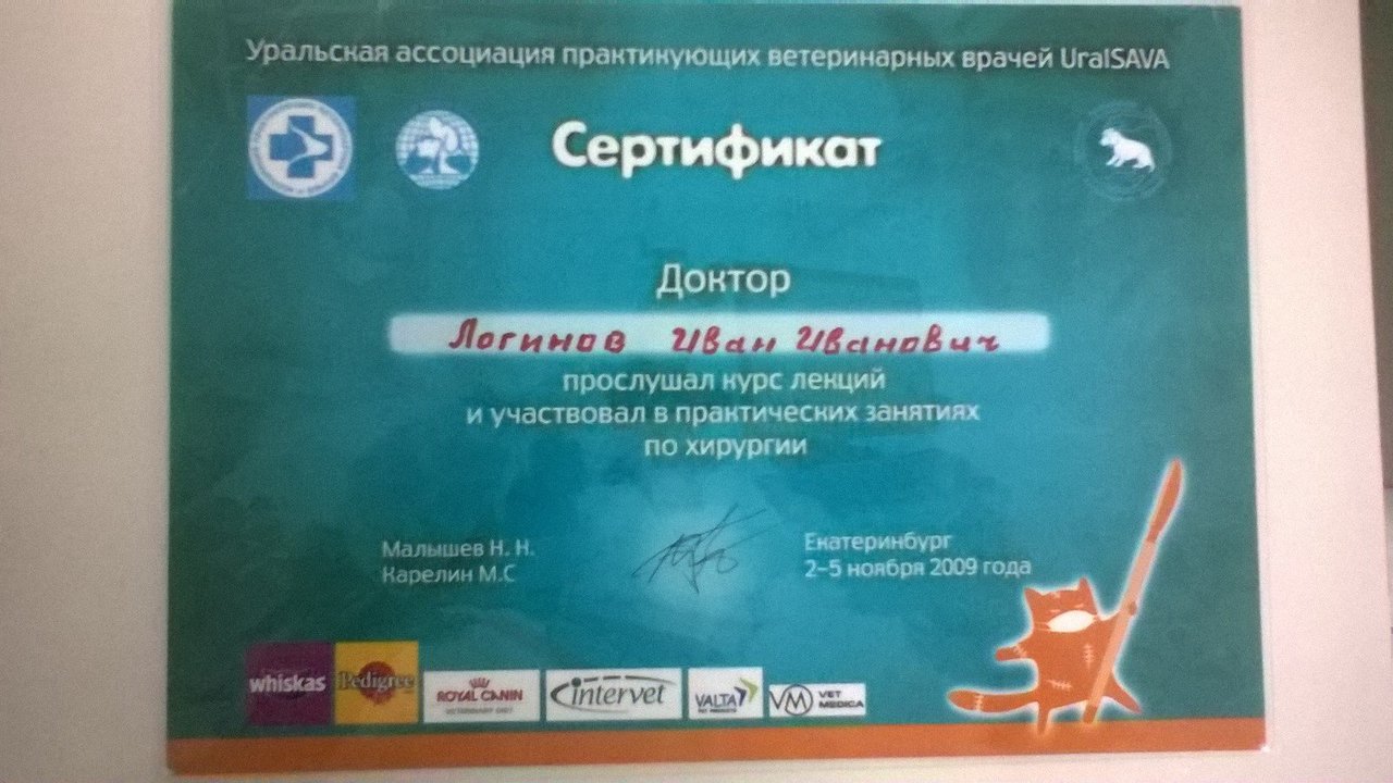 Документ или сертификат