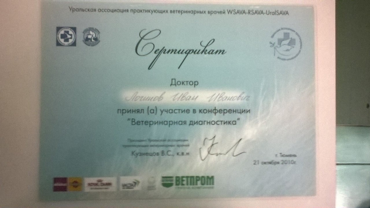 Документ или сертификат
