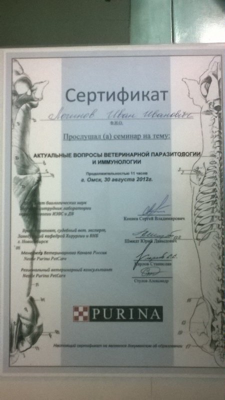 Документ или сертификат