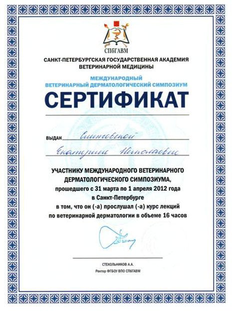 Документ или сертификат