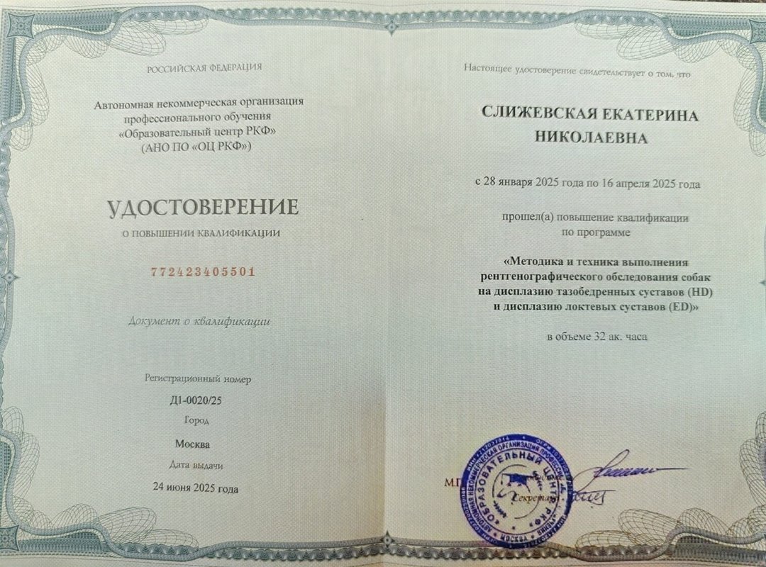 Документ или сертификат