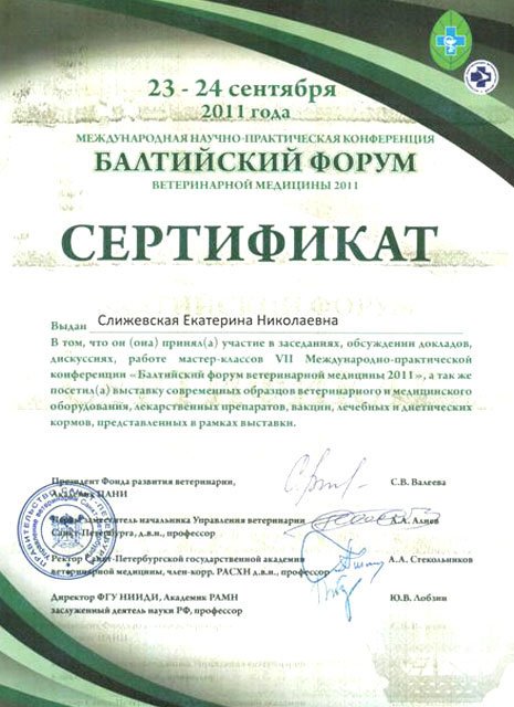 Документ или сертификат