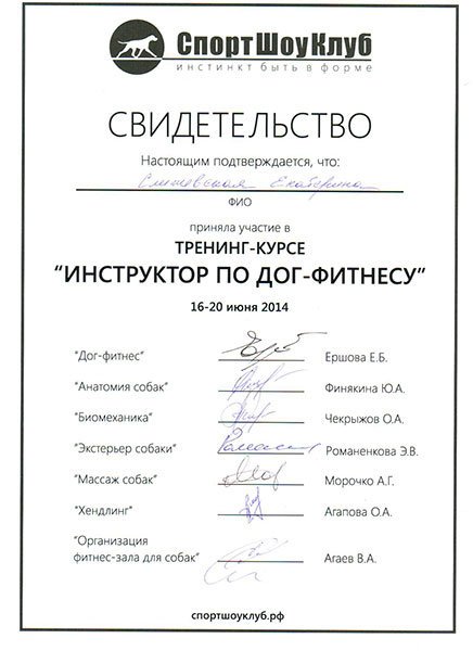 Документ или сертификат