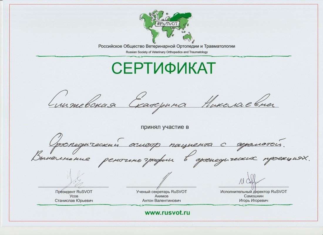 Документ или сертификат