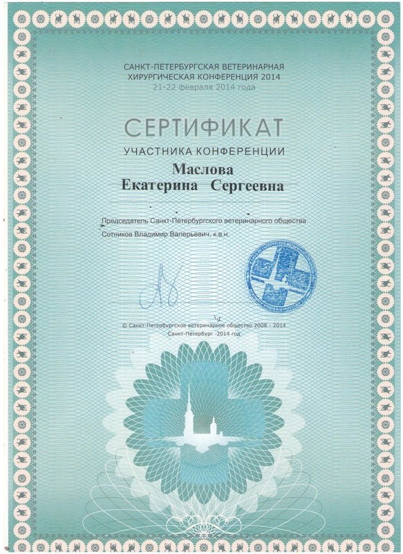 Документ или сертификат