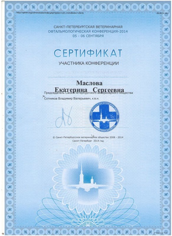 Документ или сертификат