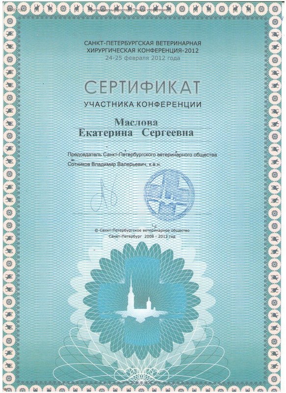 Документ или сертификат