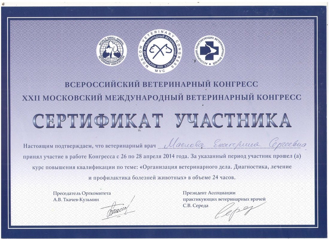 Документ или сертификат