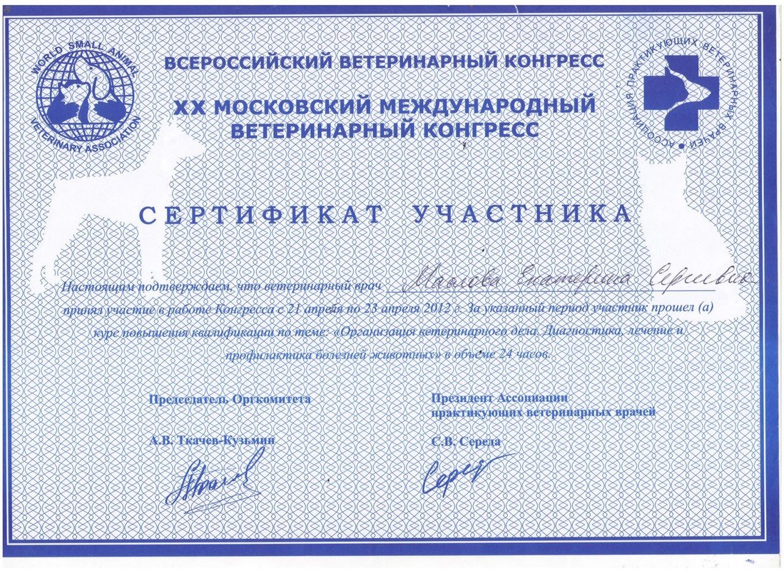 Документ или сертификат