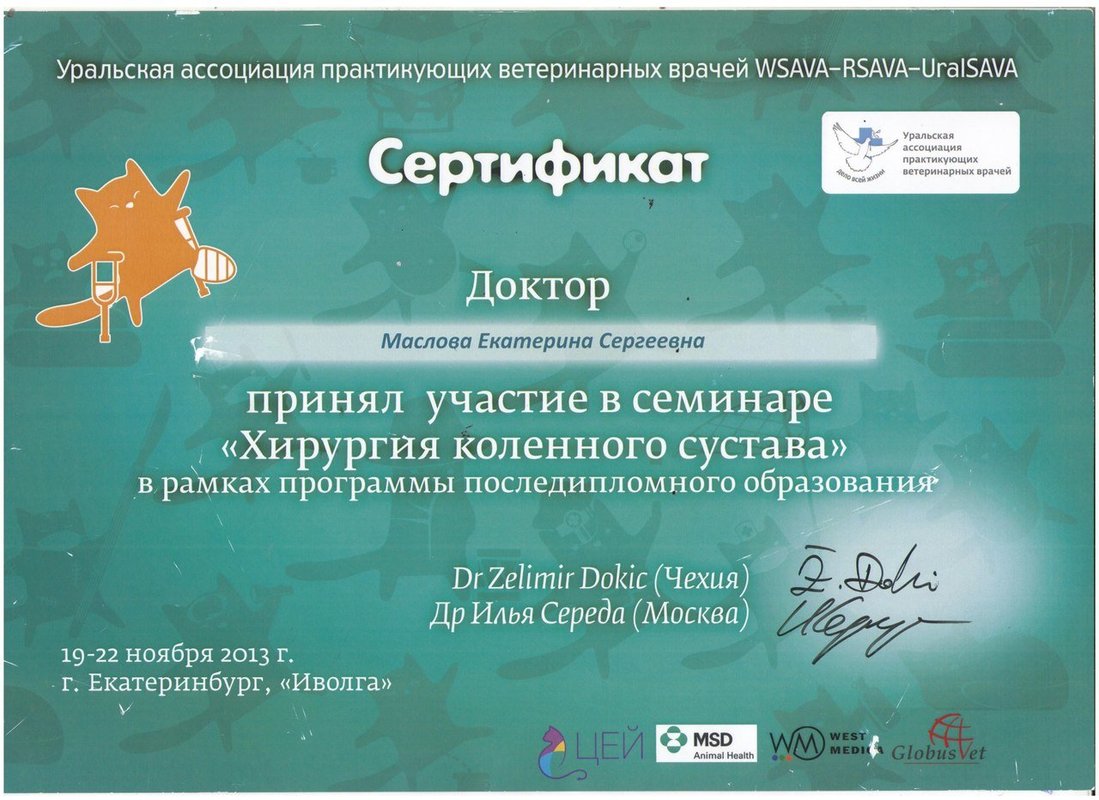 Документ или сертификат