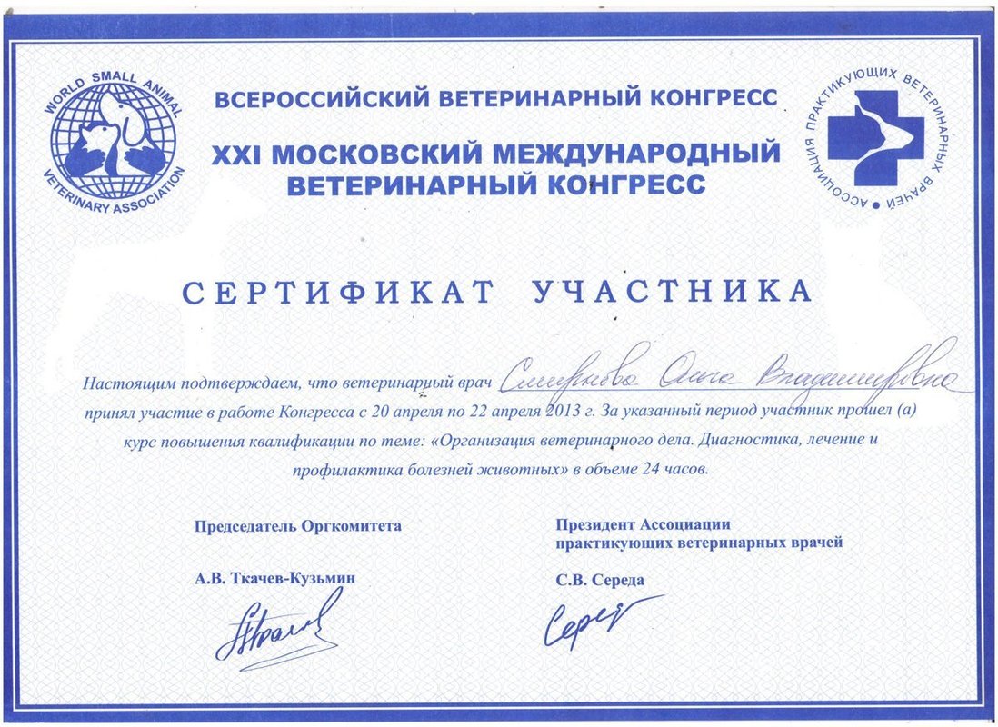 Документ или сертификат