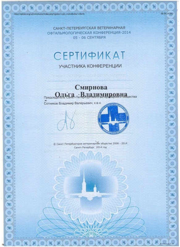 Документ или сертификат