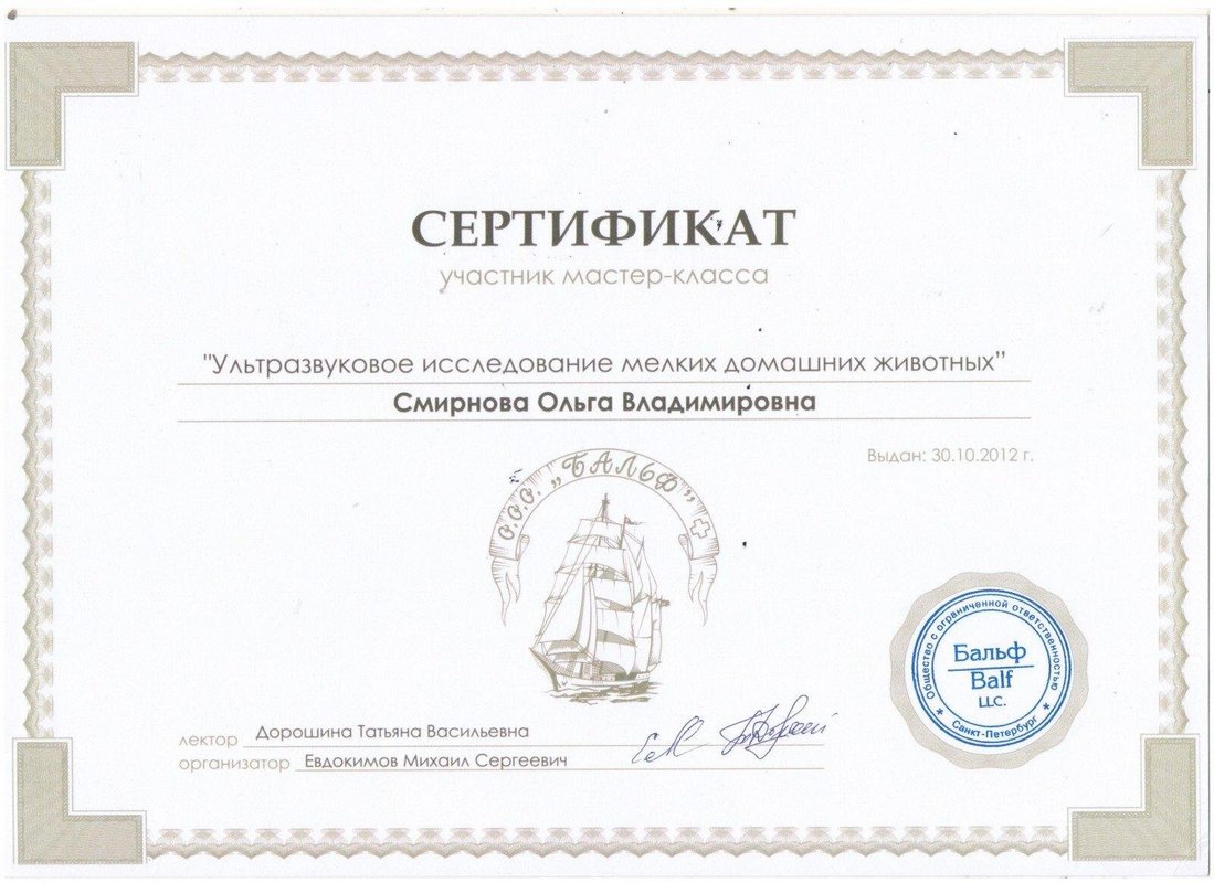 Документ или сертификат