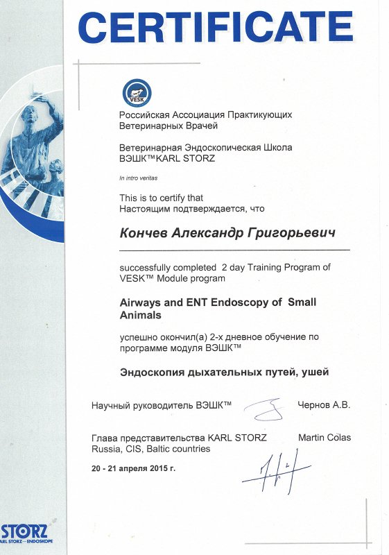 Документ или сертификат