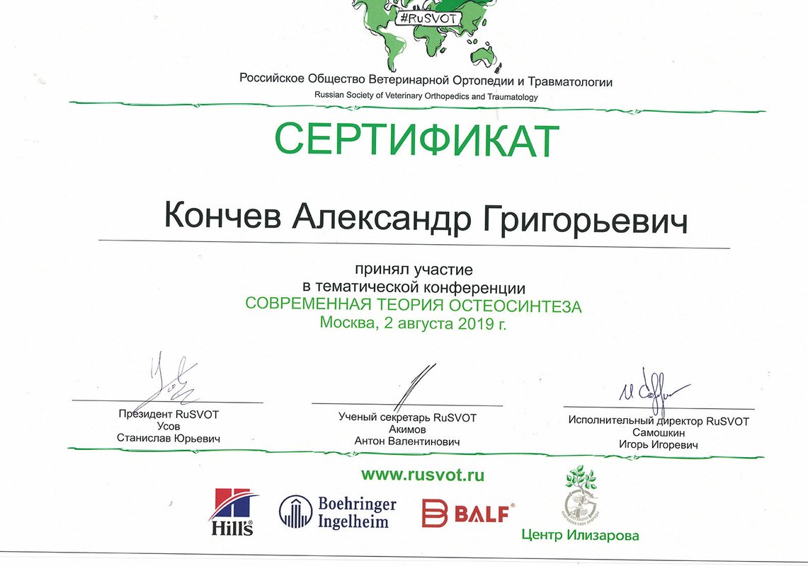 Документ или сертификат