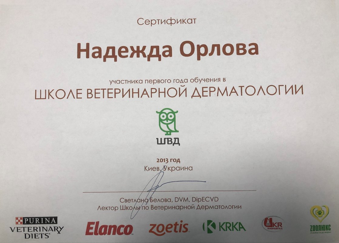 Документ или сертификат