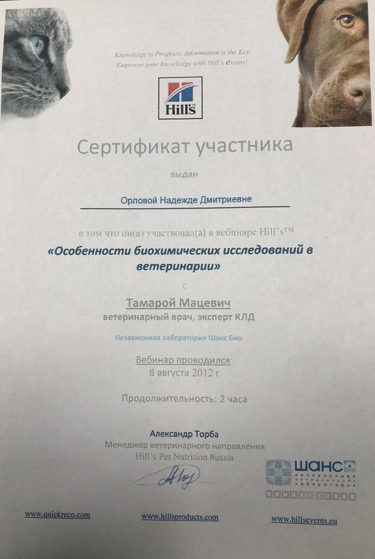 Документ или сертификат