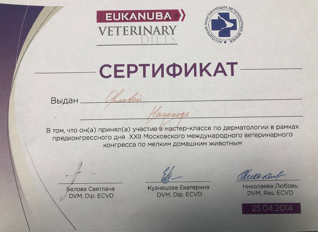 Документ или сертификат
