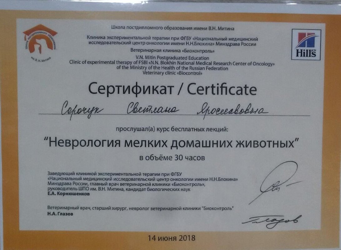 Документ или сертификат