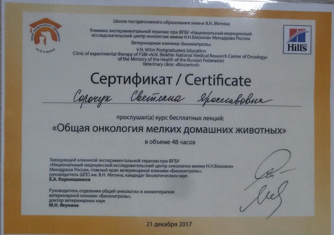 Документ или сертификат