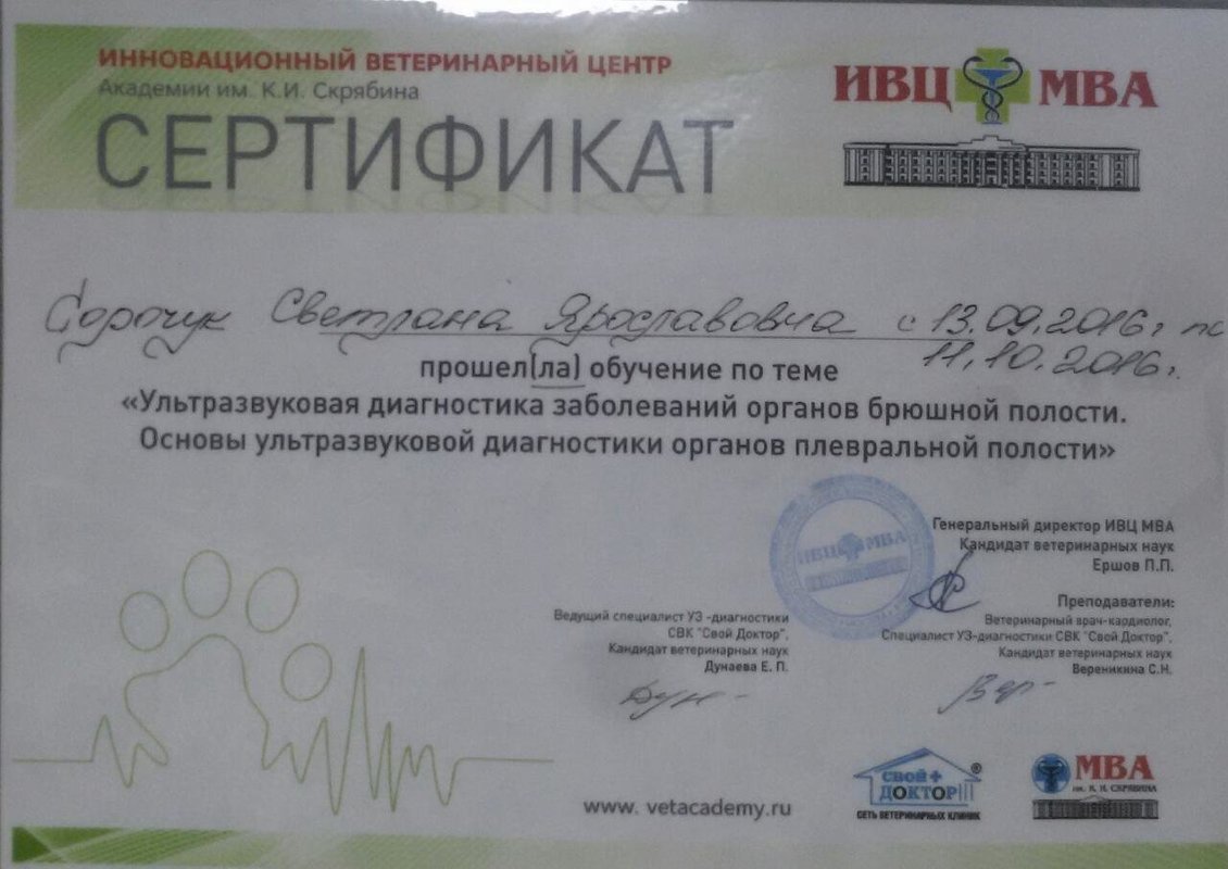 Документ или сертификат