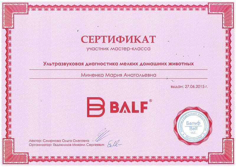 Документ или сертификат