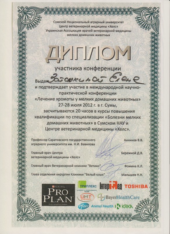 Документ или сертификат