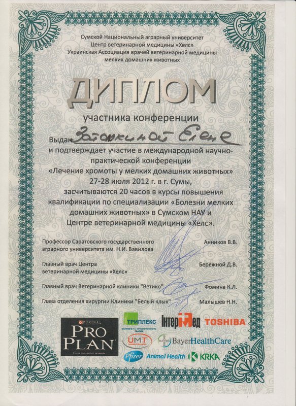 Документ или сертификат