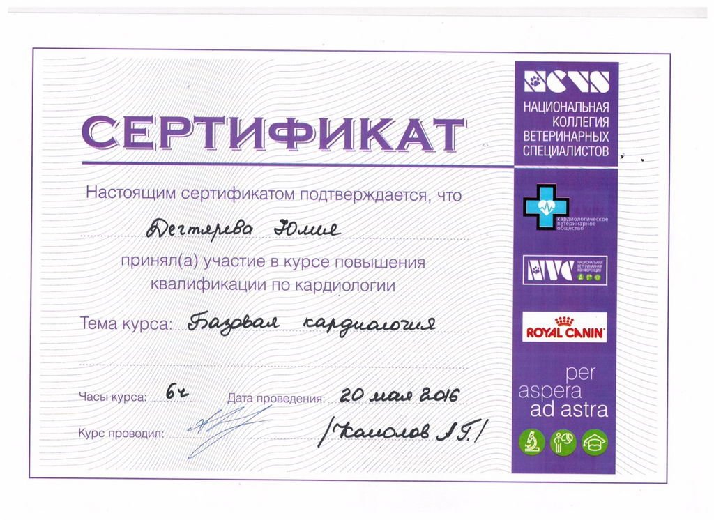 Документ или сертификат