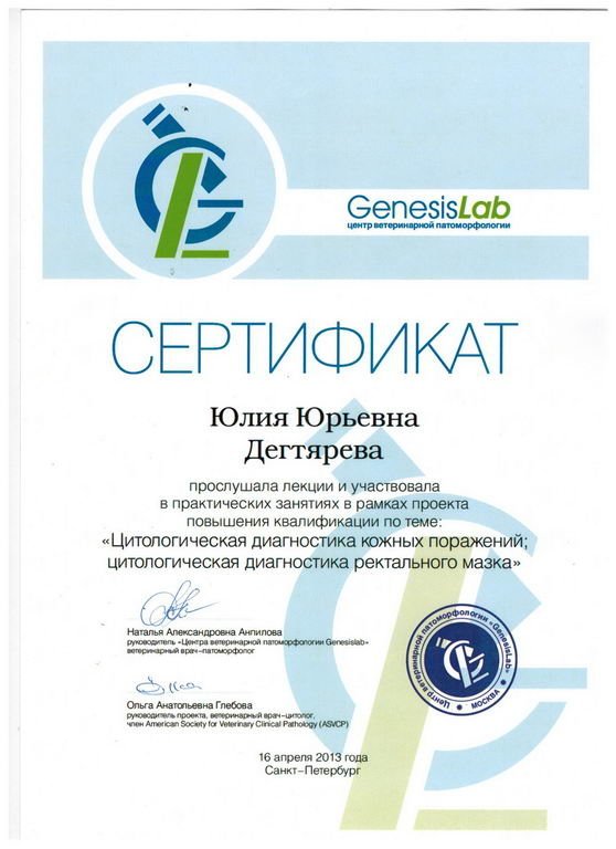 Документ или сертификат