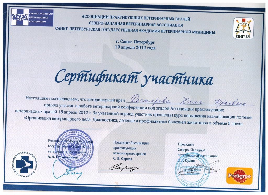 Документ или сертификат