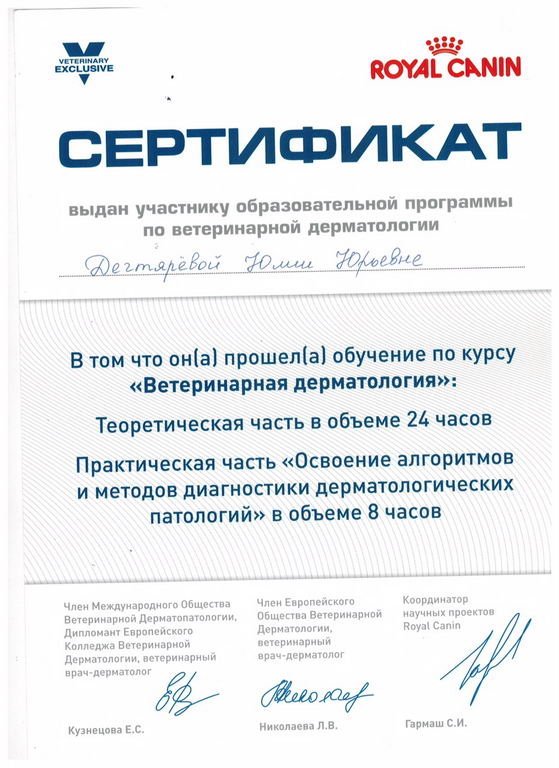 Документ или сертификат