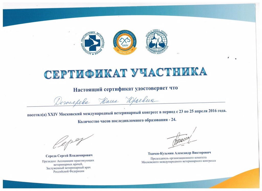 Документ или сертификат