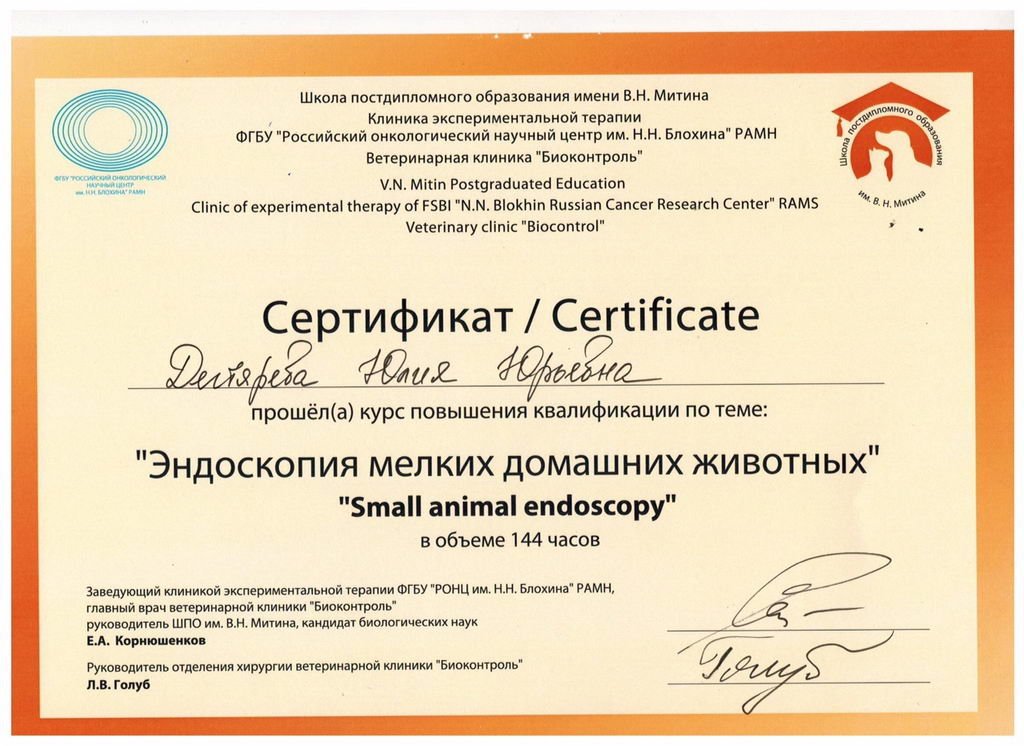 Документ или сертификат