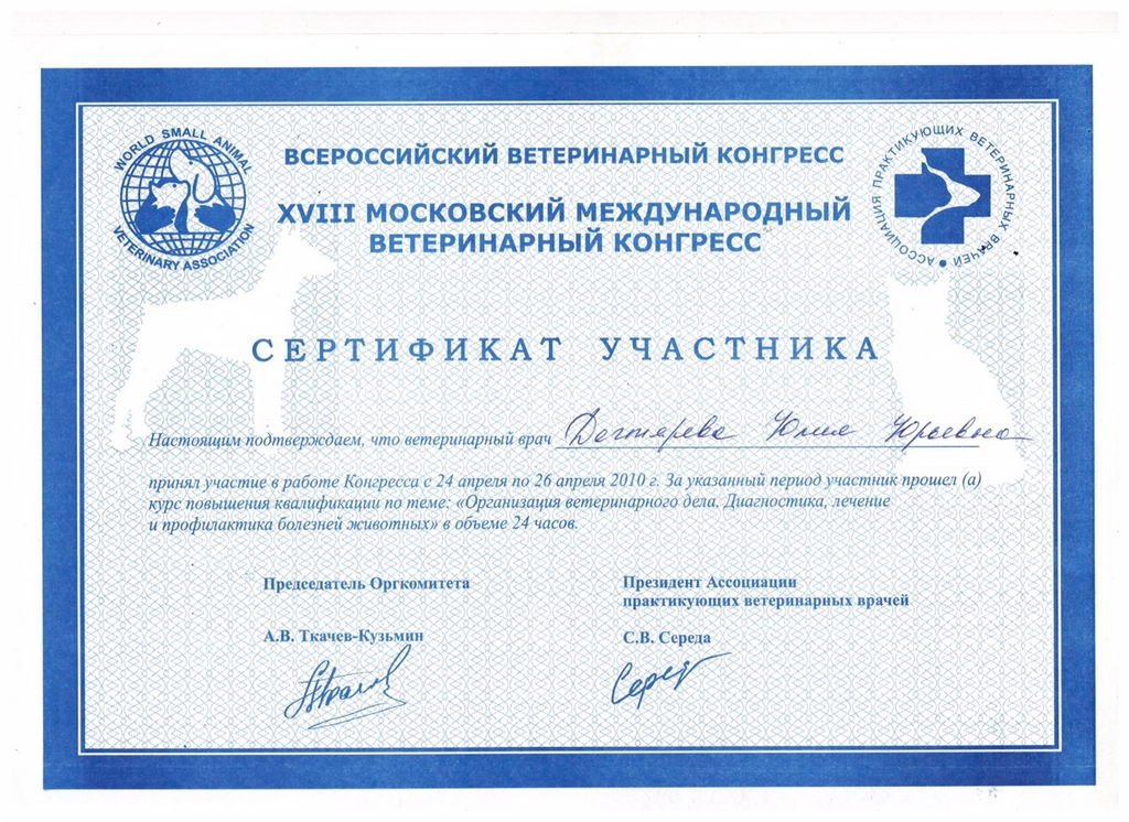 Документ или сертификат