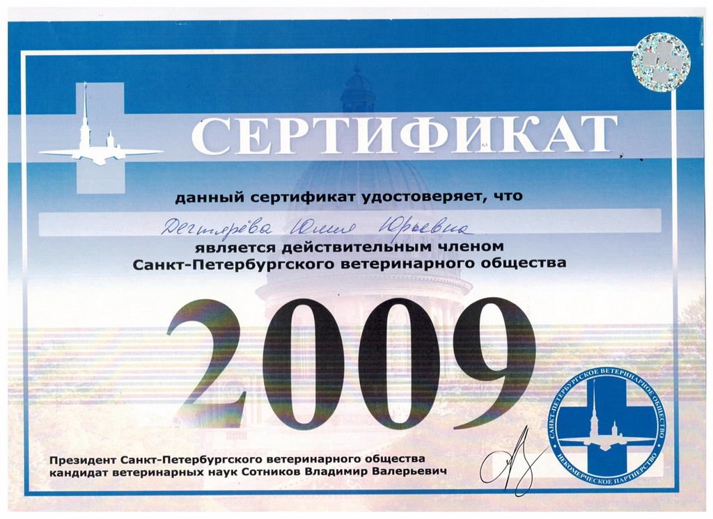 Документ или сертификат