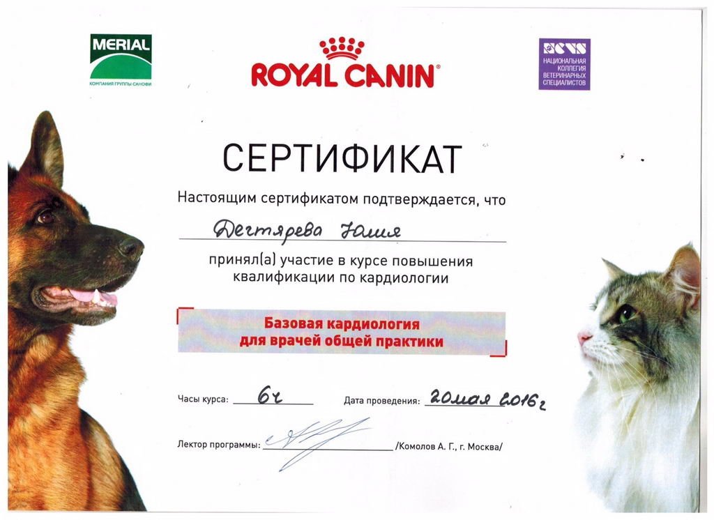 Документ или сертификат
