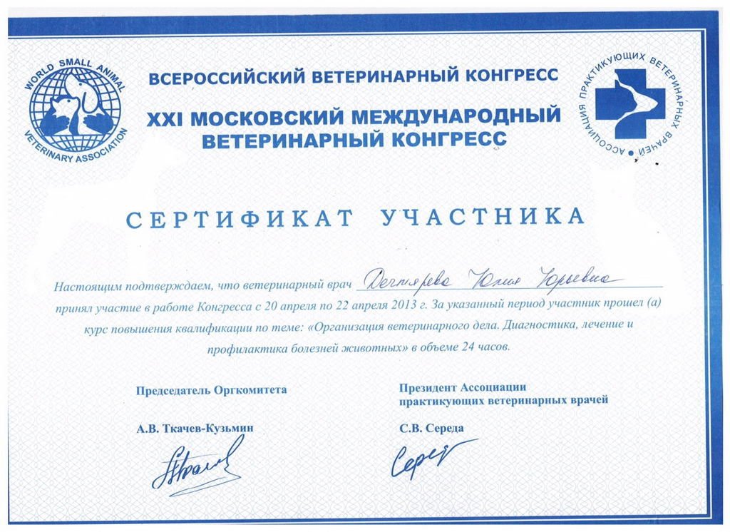 Документ или сертификат