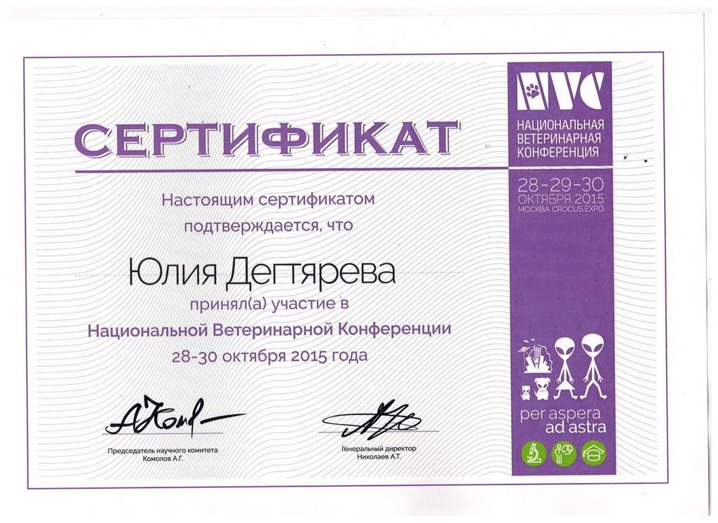 Документ или сертификат