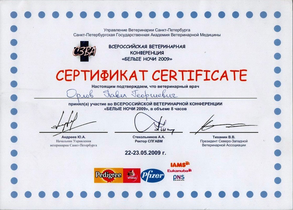 Документ или сертификат