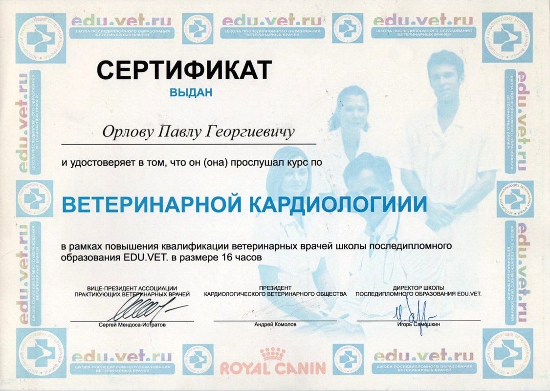 Документ или сертификат
