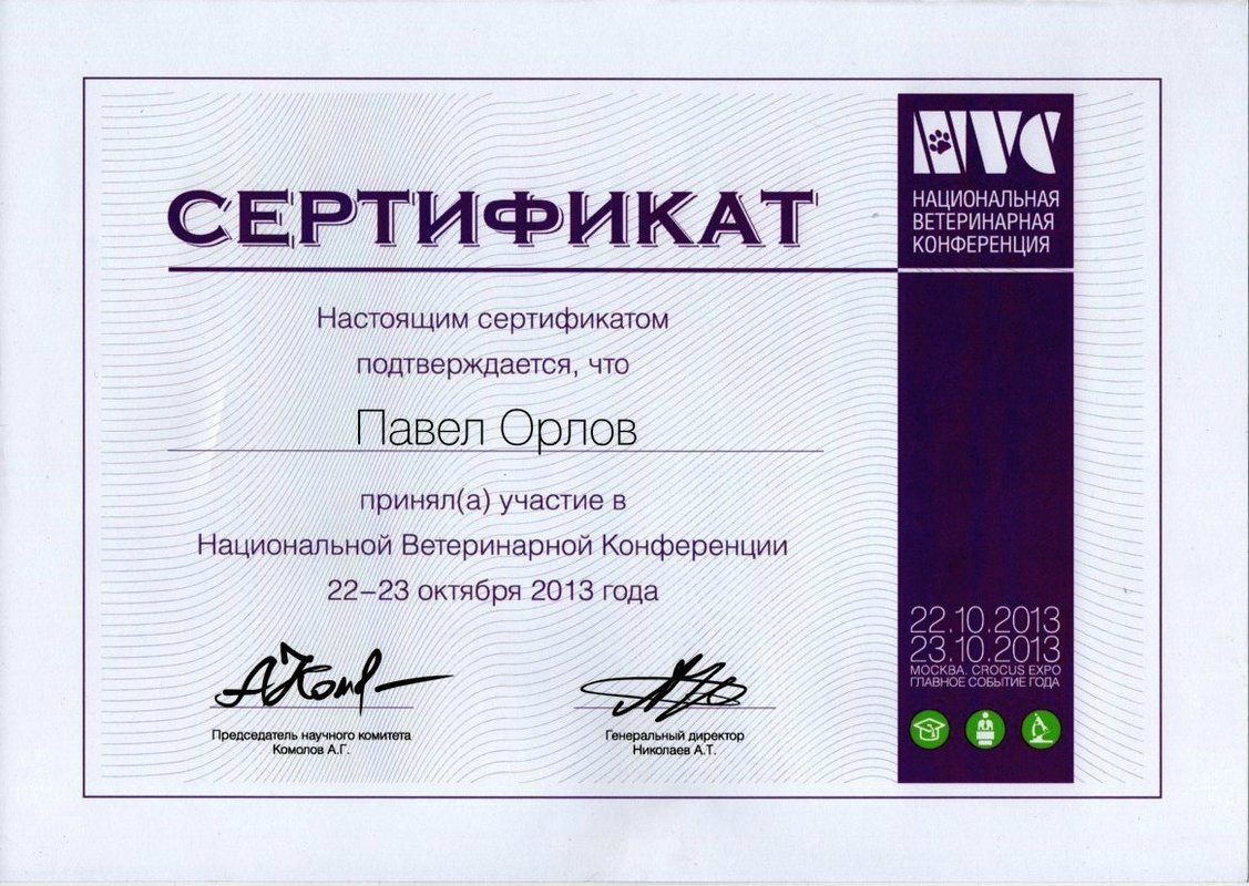 Документ или сертификат