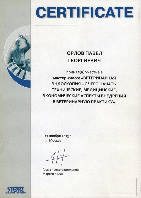 Документ или сертификат