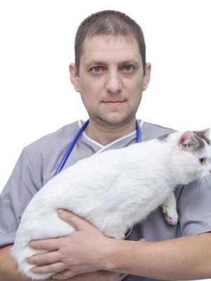 Фото врача Алимов Сергей Николаевич